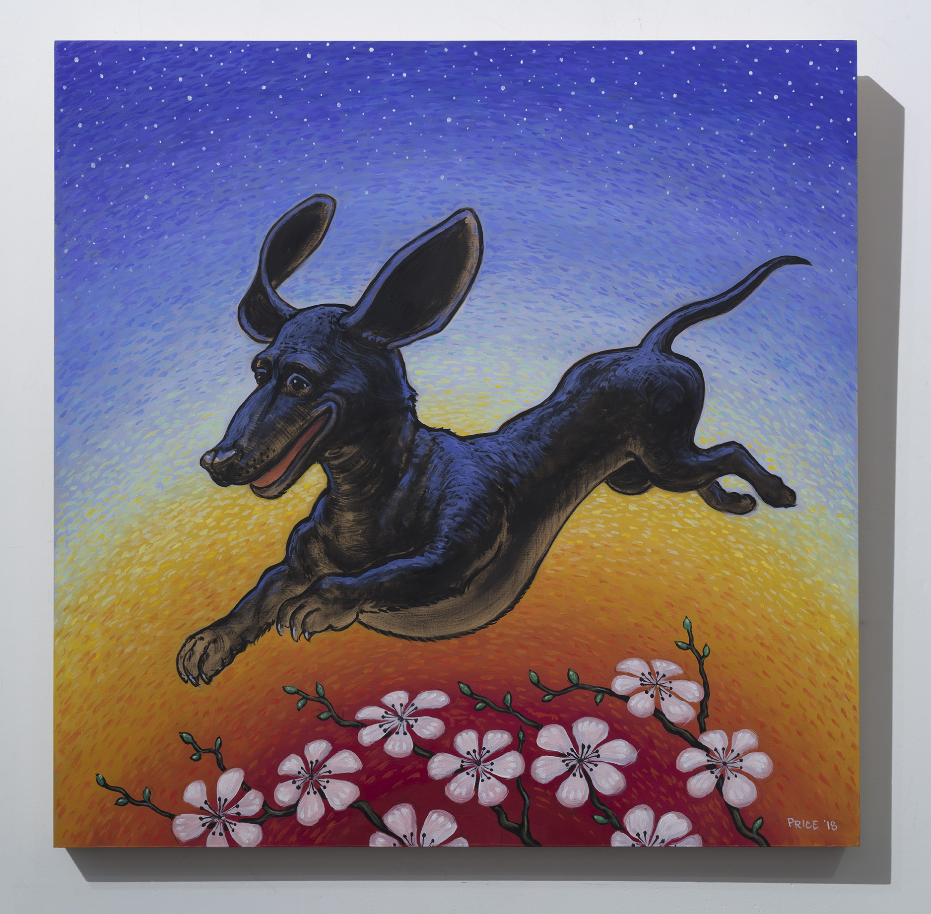 Oscar the Flying Weiner Dog