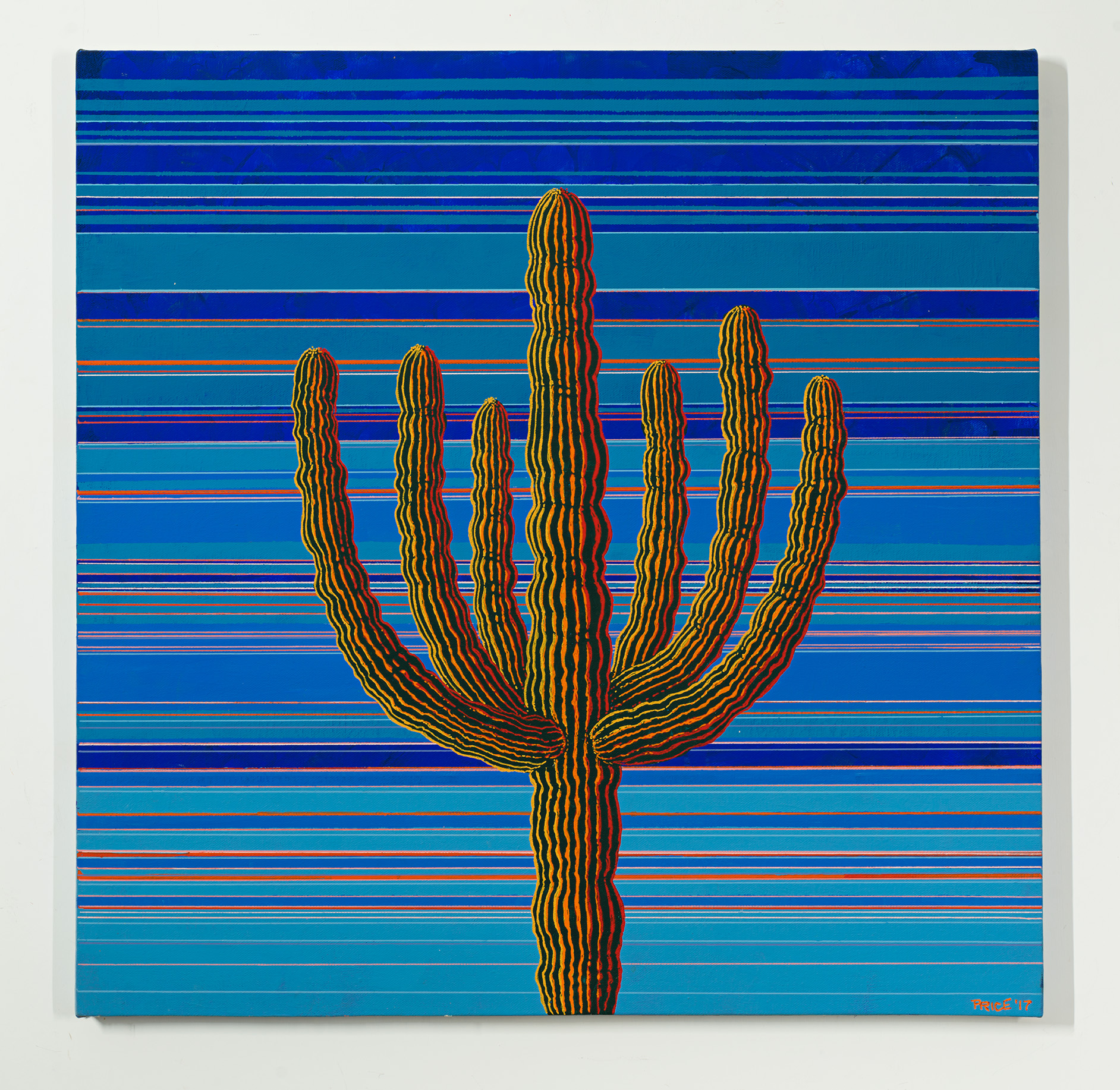 Six Arm Saguaro